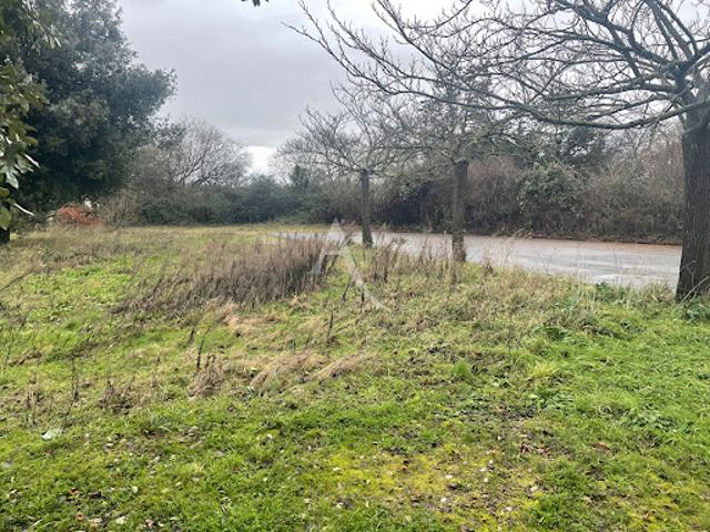 Vente Terrain 1367 m2 Bretignolles sur Mer