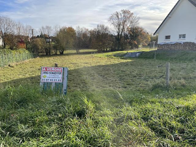 Vente Terrain 1368 m2 Plaine de Walsch