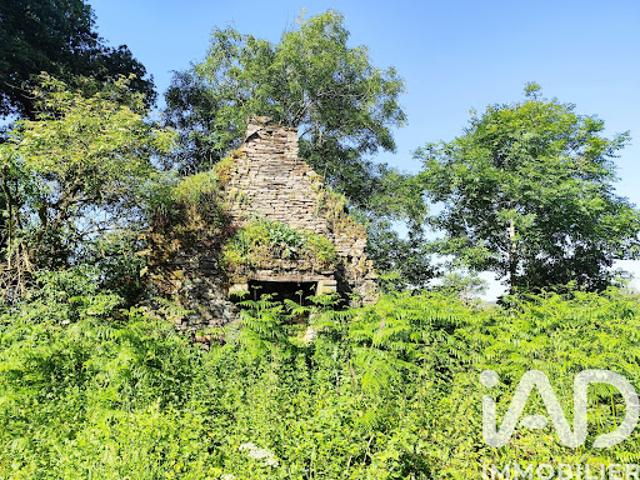 Vente Terrain 13760 m2 Allaire