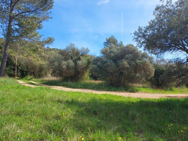 Vente Terrain 1376 m2 Camps la Source