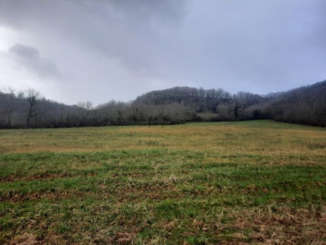Vente Terrain 1377 m2 Loubressac