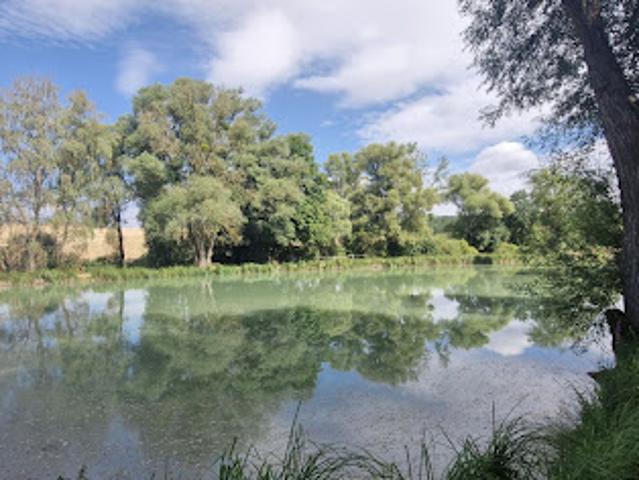 Vente Terrain 13840 m2 Bibiche