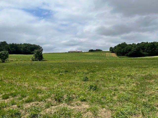 Vente Terrain 1384 m2 Saint Capraise d'Eymet