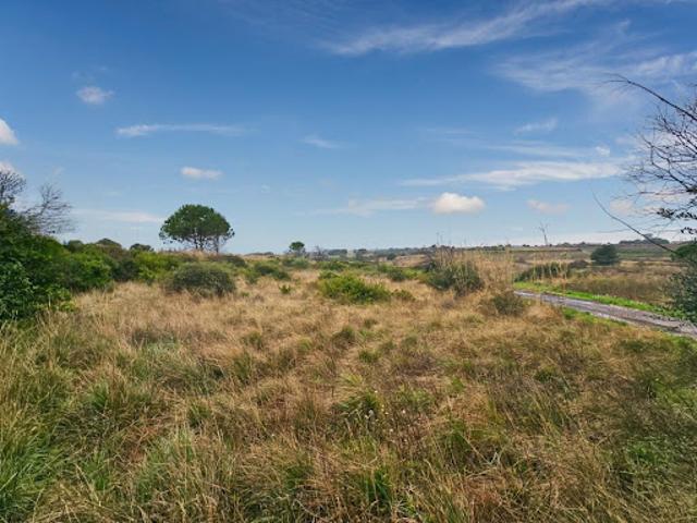 Vente Terrain 1388 m2 Loupian