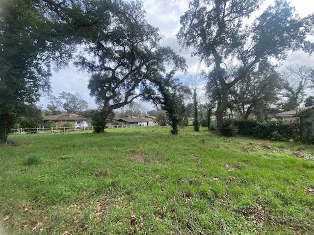 Vente Terrain 1390 m2 Moliets et Maa
