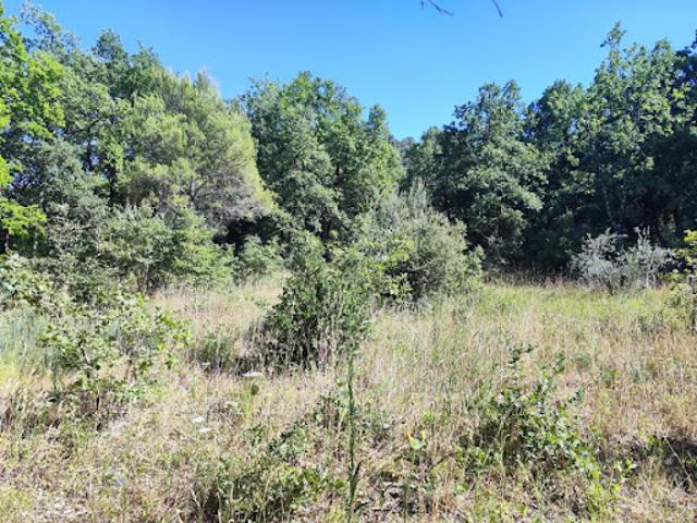 Vente Terrain 1397 m2 Néoules