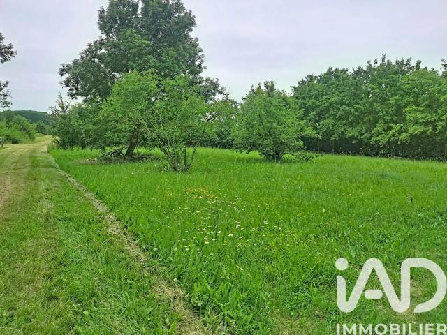 Vente Terrain 1 250 m²