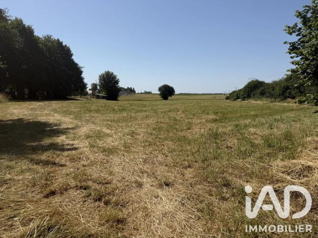 Vente Terrain 1 500 m²