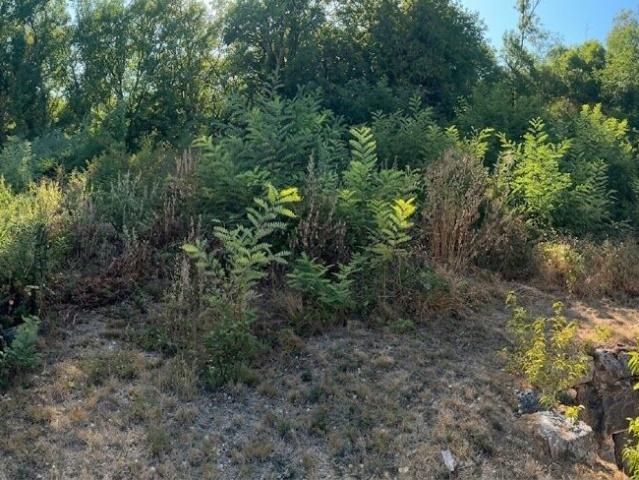 Vente Terrain 1 600 m²