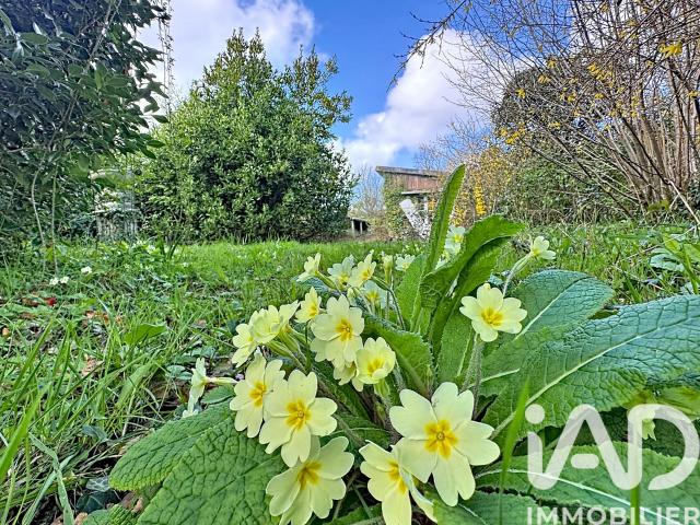 Vente Terrain 1 624 m²