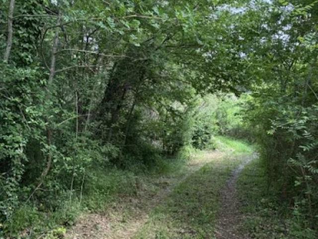 Vente Terrain 24000 m2 Sardan