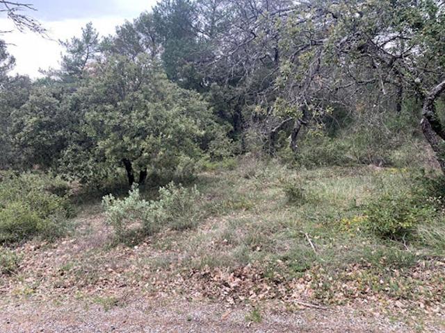 Vente Terrain 2400 m2 Nans les Pins