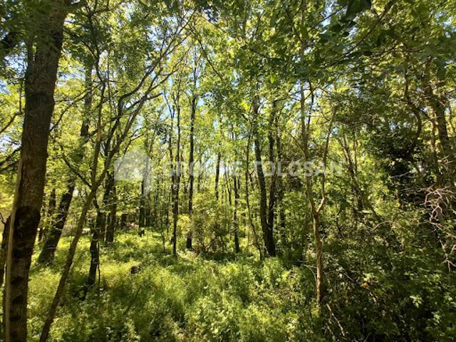 Vente Terrain 2400 m2 Revel