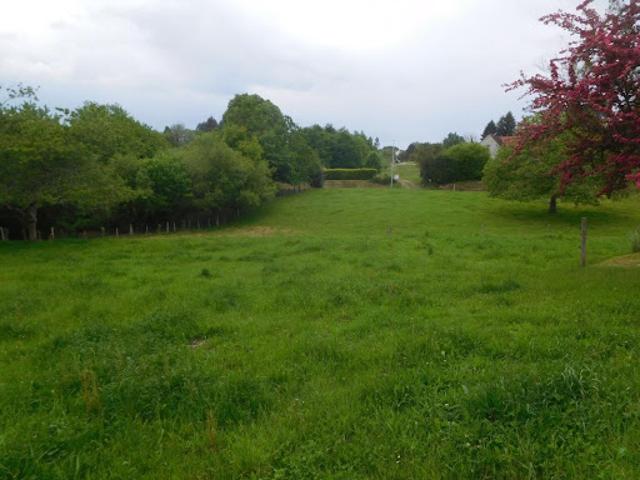 Vente Terrain 2410 m2 Saint Yrieix la Perche