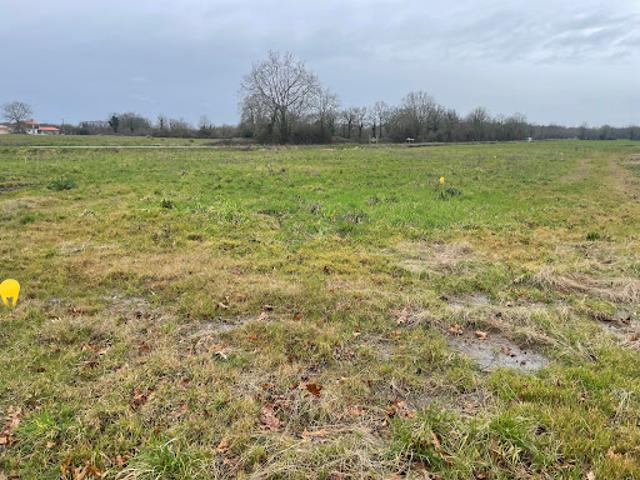 Vente Terrain 241 m2 La Chevrolière