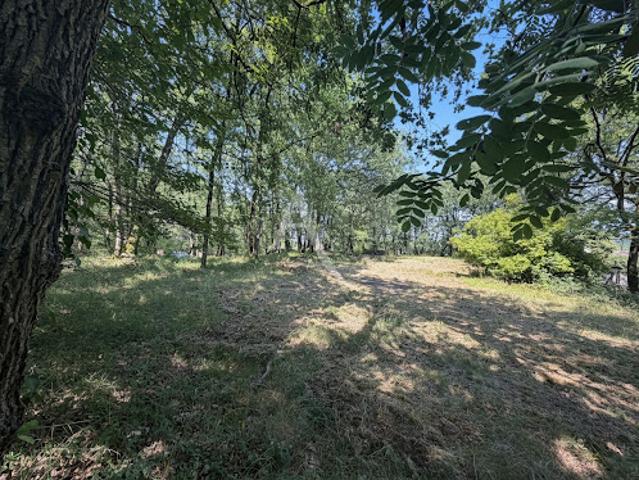 Vente Terrain 2425 m2 Montjoire