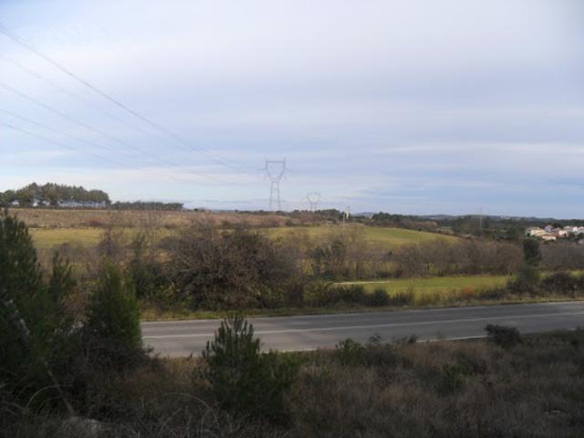 Vente Terrain 242 m2 Aimargues