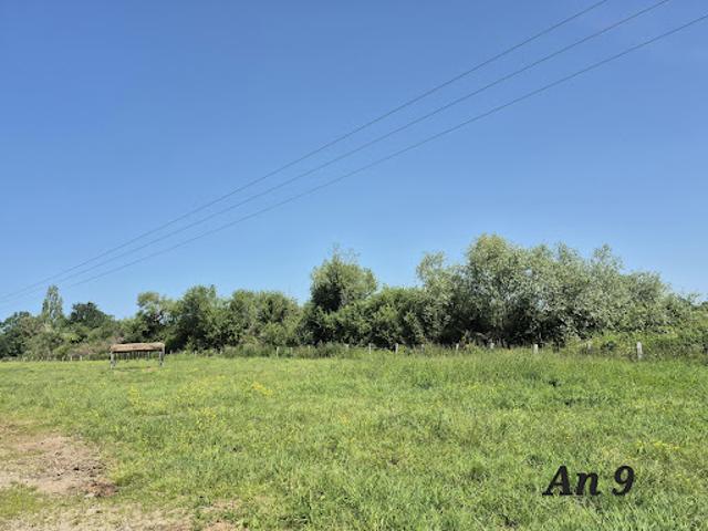 Vente Terrain 2450 m2 Beauvoir sur Mer
