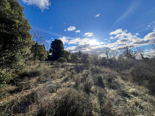 Vente Terrain 2471 m2 Barjac