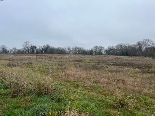 Vente Terrain 2480 m2 Saint Sever