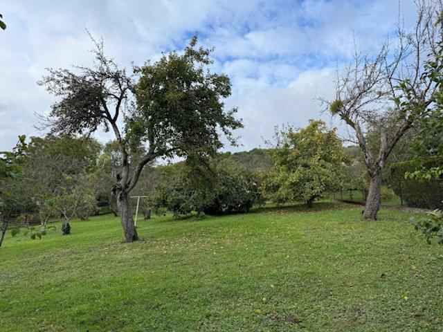 Vente Terrain 2484 m2 Thionville