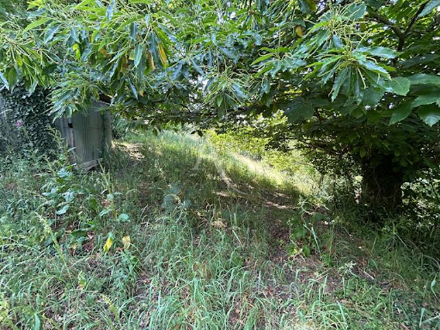 Vente Terrain 2498 m2 Chateau gontier