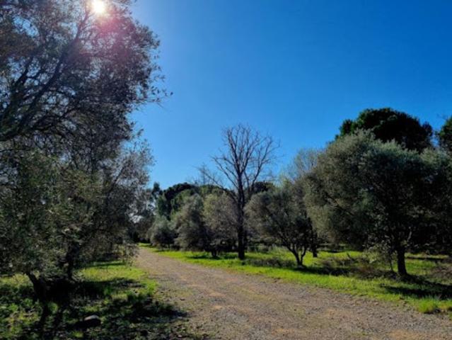 Vente Terrain 249 m2 Ceyras
