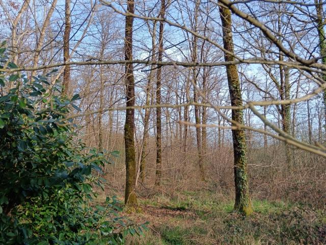 Vente Terrain 24 045 m²