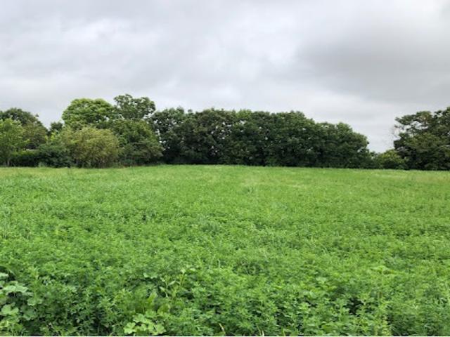 Vente Terrain 253 m2 Aigrefeuille d'Aunis