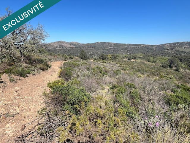 Vente Terrain 25000 m2 Estagel