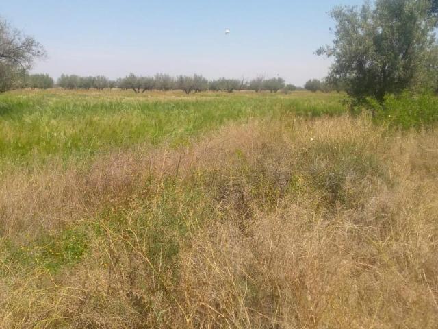 Vente terrain 25000 m² à Marrakech