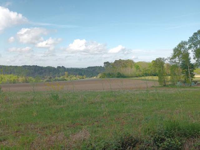 Vente Terrain 2500 m2 Gourdon