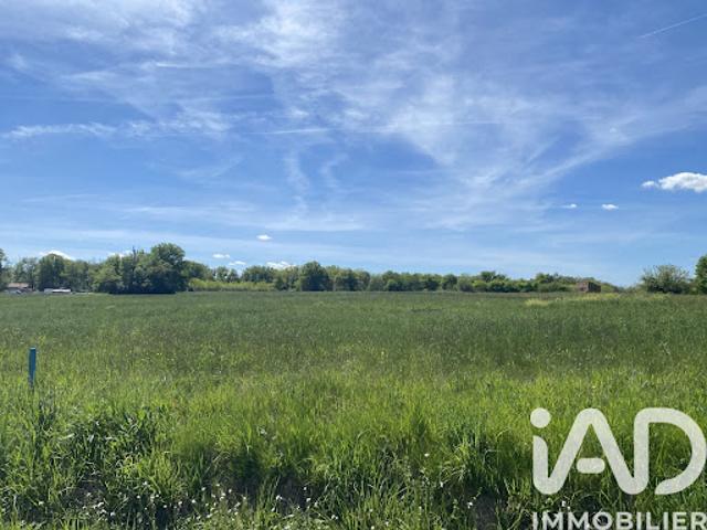Vente Terrain 2500 m2 Domme