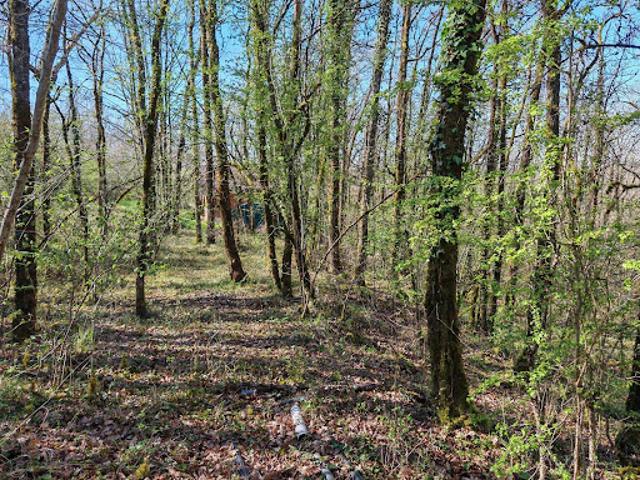 Vente Terrain 2500 m2 Savignac les Eglises