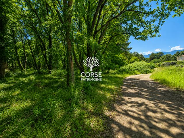 Vente Terrain 2500 m2 Prunelli di Fiumorbo