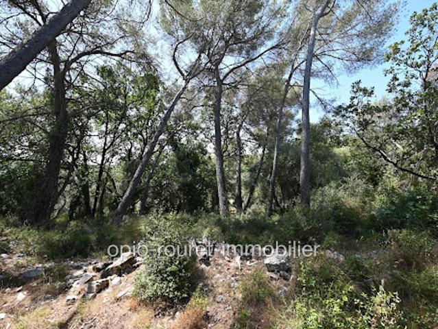 Vente Terrain 2500 m2 Roquefort les Pins