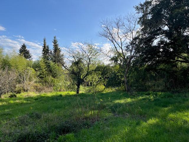 Vente Terrain 2500 m2 Rion des Landes