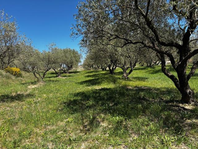 Vente Terrain 2500 m2 Vagnas