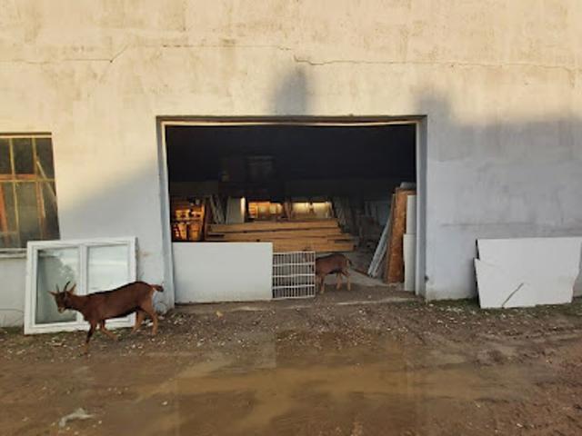 Vente Terrain 2500 m2 Villeneuve sur Yonne