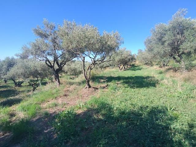 Vente Terrain 2504 m2 Barjac