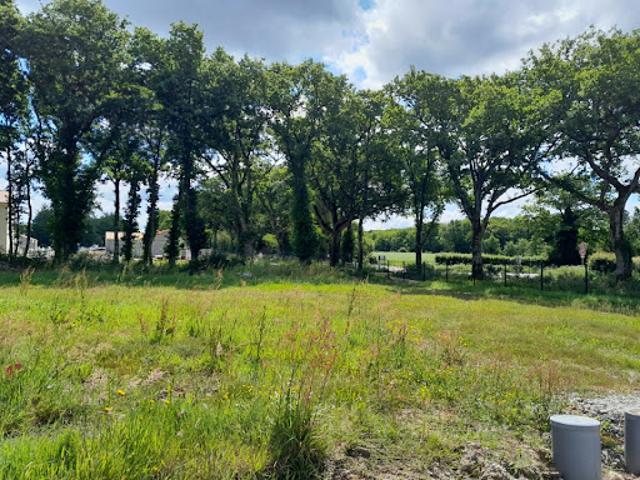 Vente Terrain 250 m2 Saint Père en Retz
