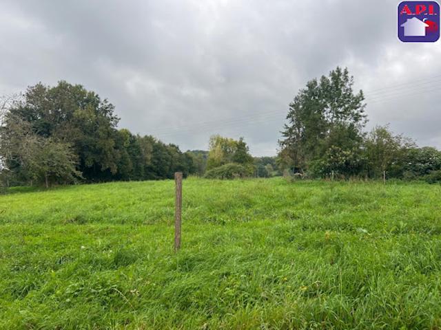Vente Terrain 2517 m2 Montréjeau