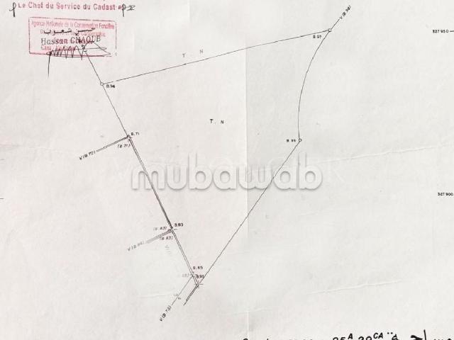 Vente terrain 2530m2 Californie, Casablanca