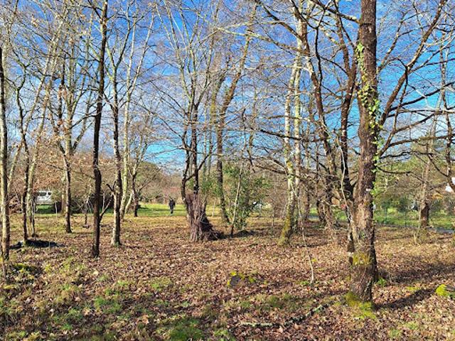 Vente Terrain 2531 m2 Sadirac