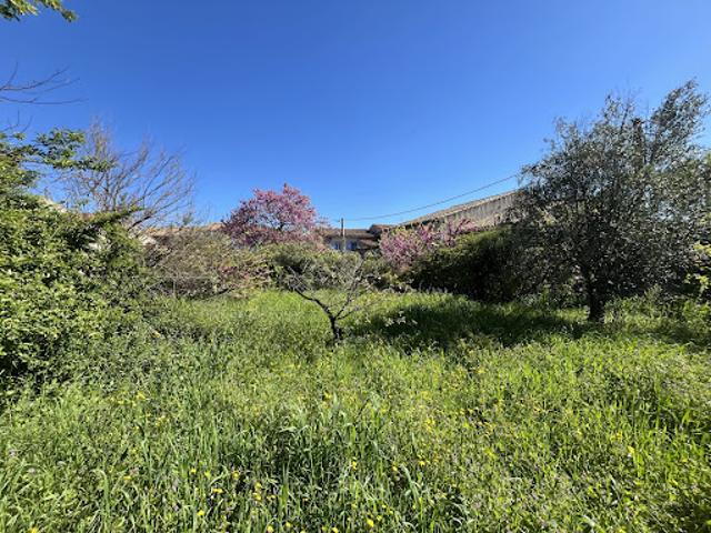 Vente Terrain 257 m2 Trausse