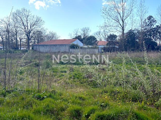 Vente Terrain 2550 m2 Saint Hilaire de Riez