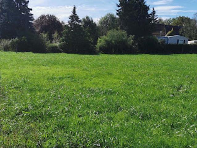 Vente Terrain 2561 m2 Meillard
