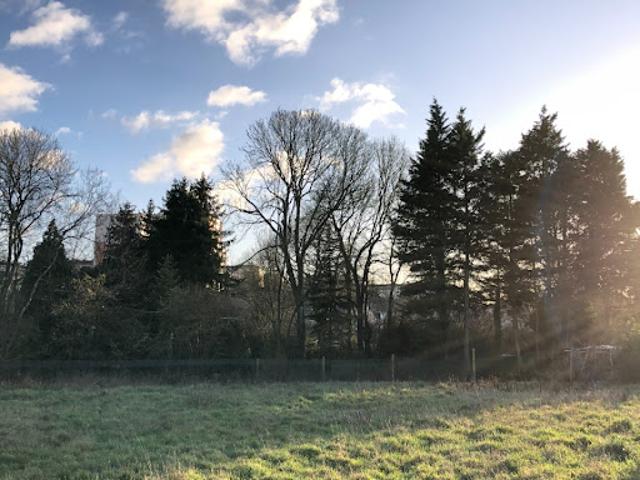Vente Terrain 256 m2 Allonnes