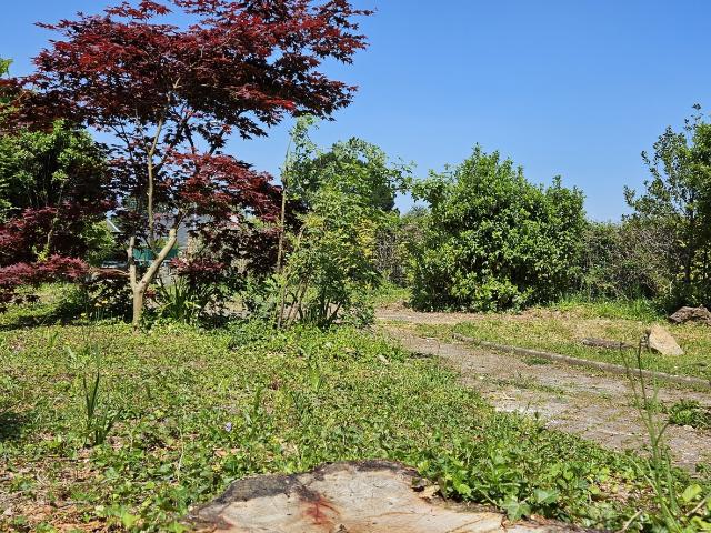 Vente Terrain 256 m²