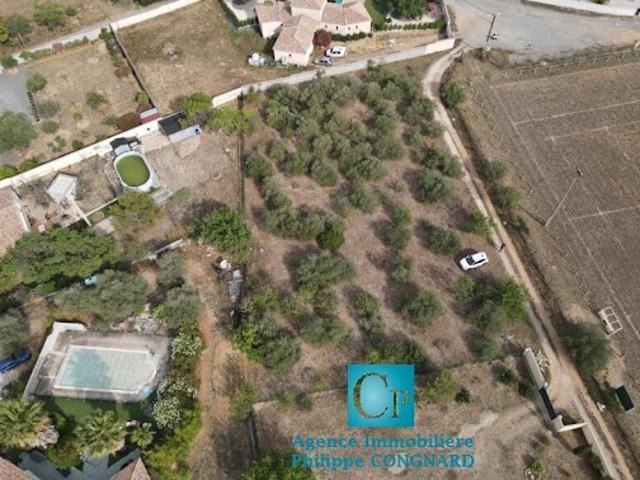 Vente Terrain 2570 m2 Cruzy
